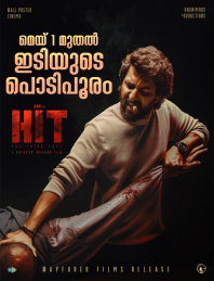 HIT: THE THIRD CASE